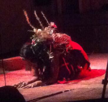 HOMBRESPAJAROS MUJERESPUMA